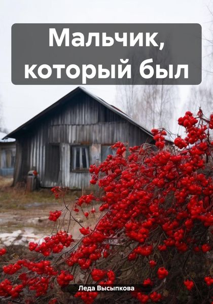 Обложка книги  «Мальчик, который был»