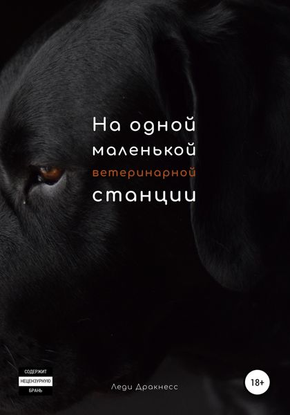 Обложка книги «На одной маленькой ветеринарной станции»
