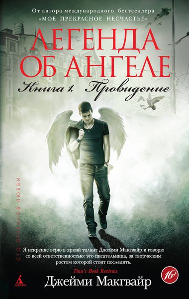 Обложка книги  «Легенда об ангеле. Книга 1. Провидение»