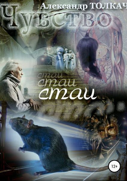 Обложка книги  «Чувство Стаи»