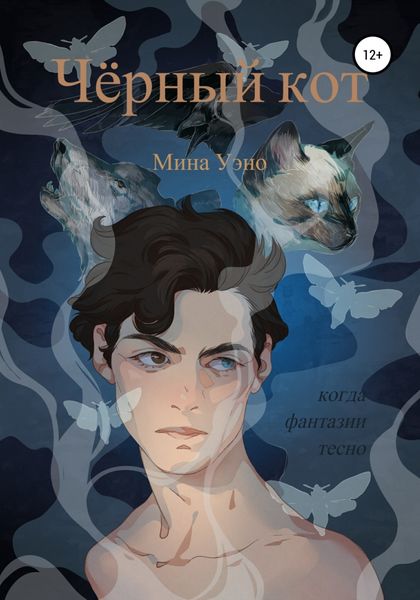 Обложка книги  «Чёрный кот»