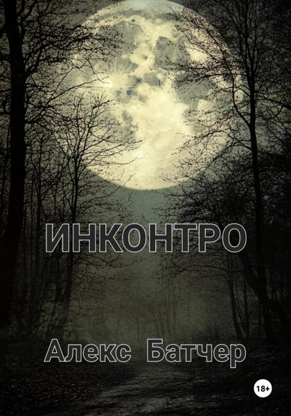 Обложка книги  «Инконтро»