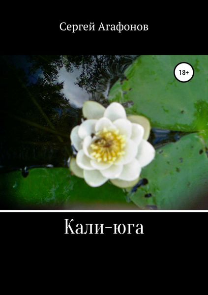 Обложка книги  «Кали-юга»