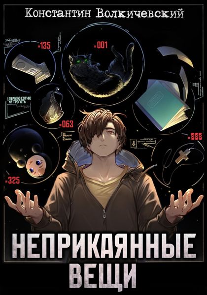 Обложка книги  «Неприкаянные вещи»