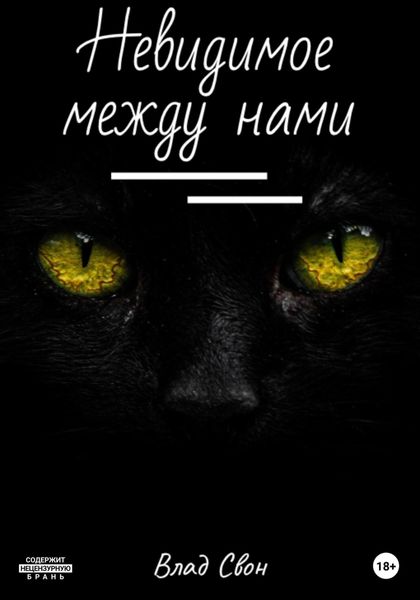 Обложка книги  «Невидимое между нами»