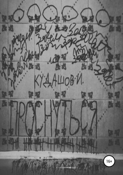 Обложка книги  «Проснуться»