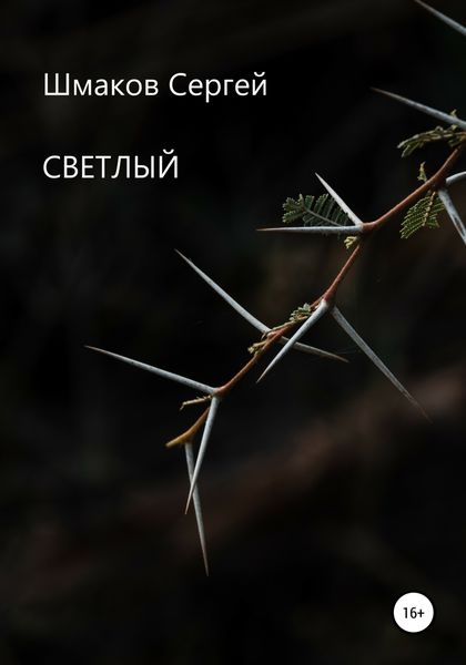 Обложка книги  «Светлый»