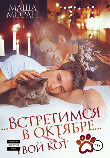 Обложка книги  «Встретимся в октябре. Твой кот»