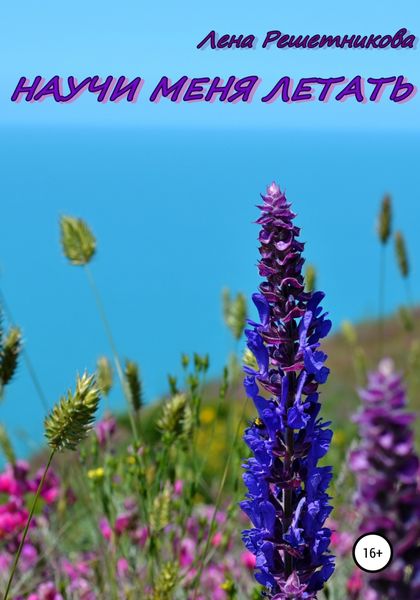 Обложка книги  «Научи меня летать»
