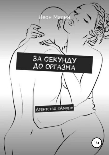 Обложка книги  «За секунду до оргазма»