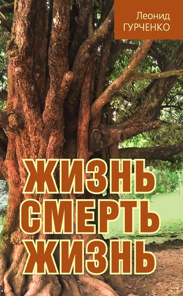 Обложка книги  «Жизнь – смерть – жизнь»