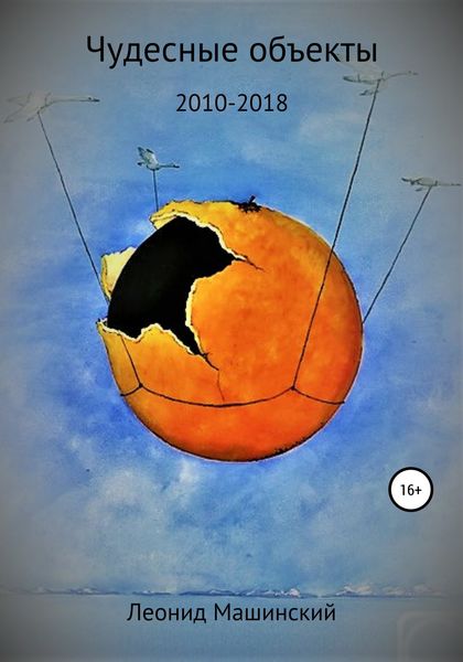 Обложка книги  «Чудесные объекты»
