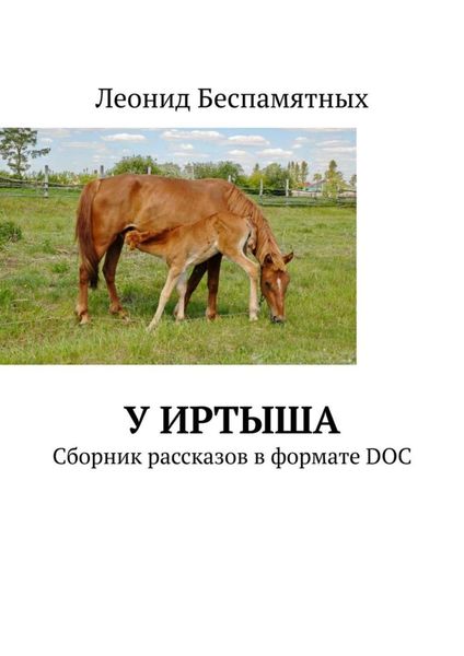 Обложка книги  «У Иртыша. Сборник рассказов в формате DOC»