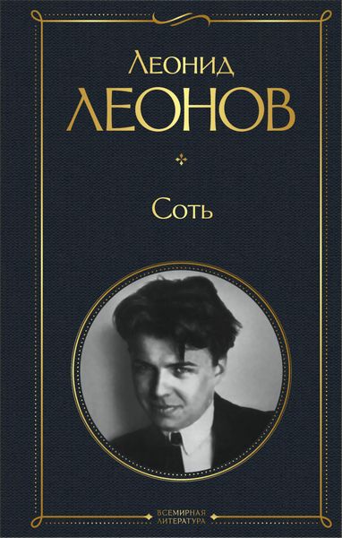 Обложка книги  «Соть»