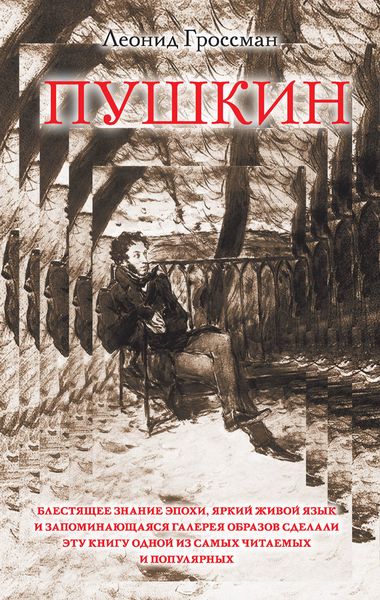 Обложка книги «Пушкин»
