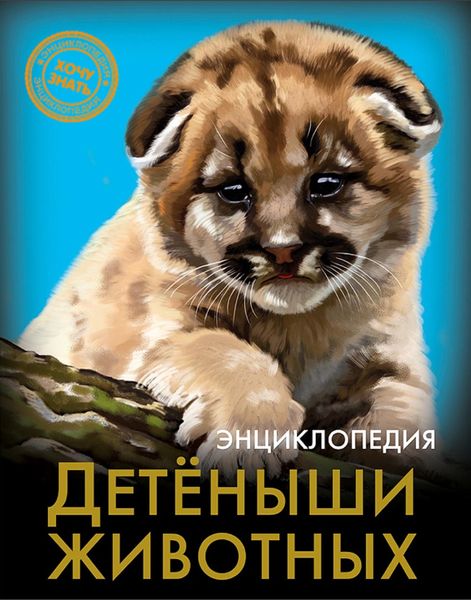Обложка книги  «Детёныши животных»