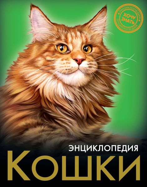 Обложка книги  «Кошки»