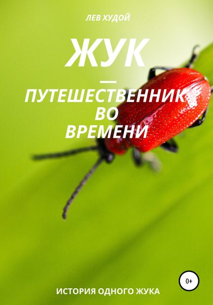 Обложка книги  «Жук – путешественник во времени»