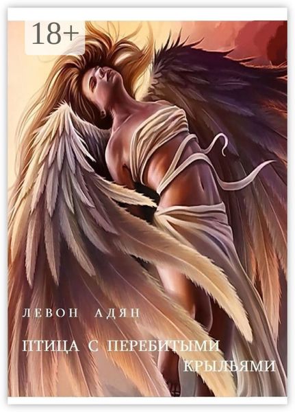 Обложка книги «Птица с перебитыми крыльями»