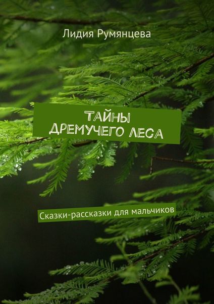 Обложка книги «Тайны дремучего леса. Сказки-рассказки для мальчиков»