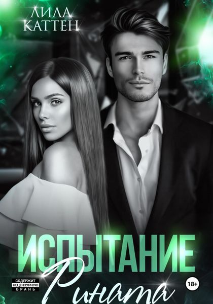 Обложка книги  «Испытание Рината»