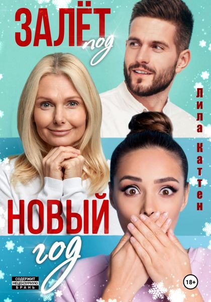 Обложка книги  «Залёт под Новый год»