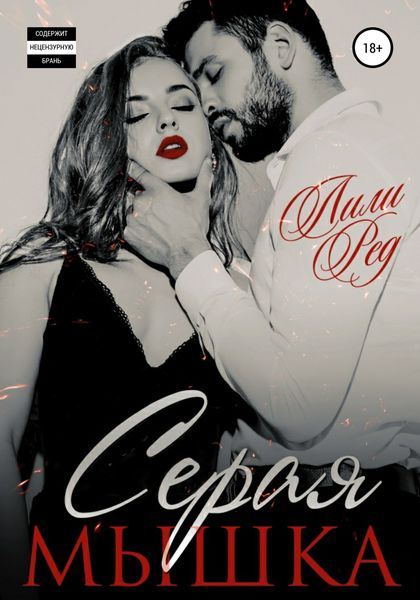 Обложка книги  «Серая мышка»
