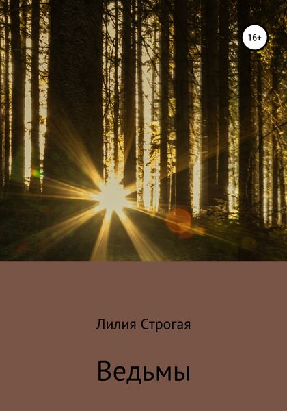 Обложка книги  «Ведьмы»