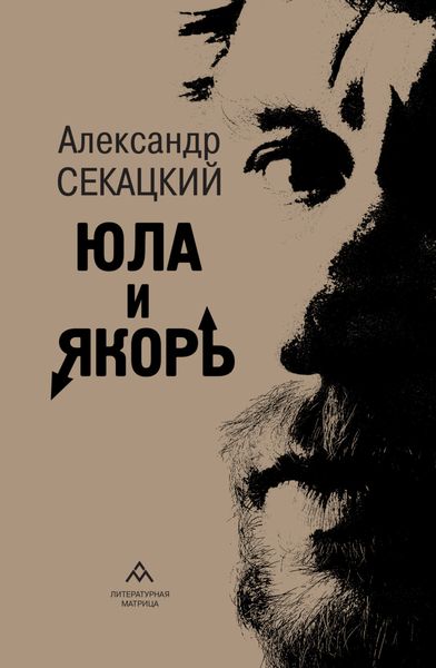 Обложка книги  «Юла и якорь. Опыт альтеративной метафизики»