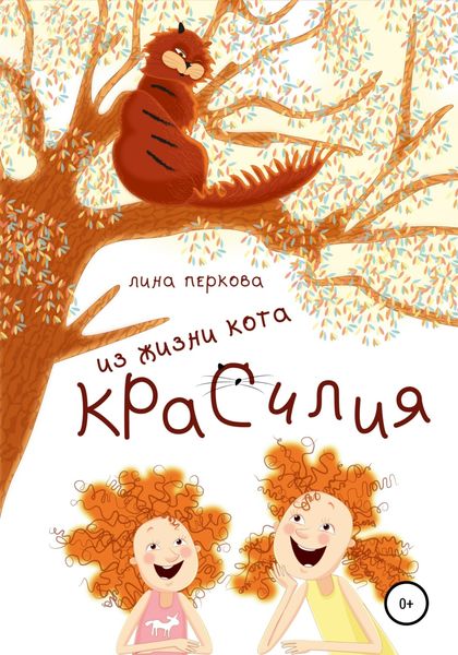 Обложка книги  «Из жизни кота Красилия»