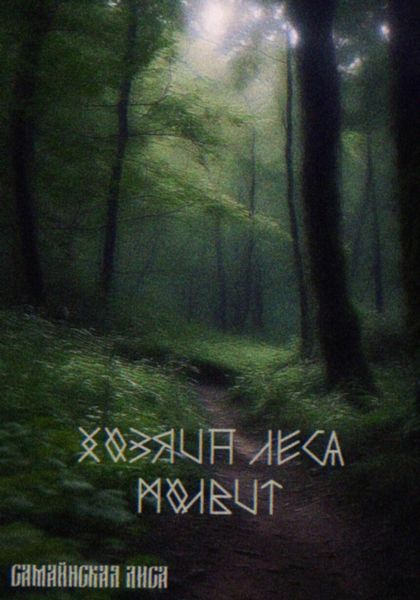 Обложка книги «Хозяин леса»