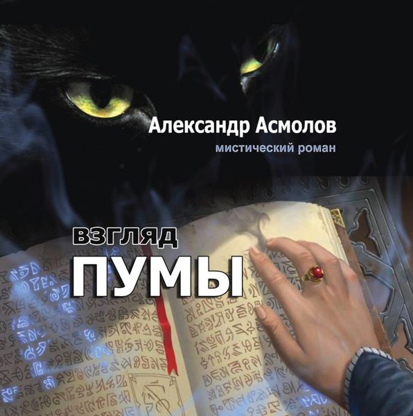 Обложка книги  «Взгляд пумы»