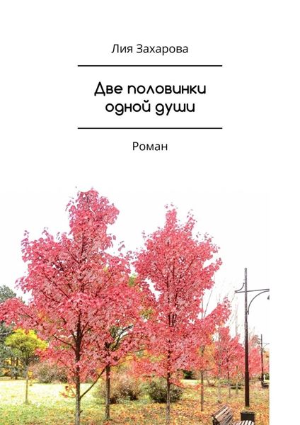 Обложка книги  «Две половинки одной души»
