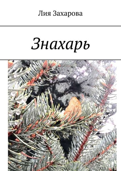 Обложка книги  «Знахарь»