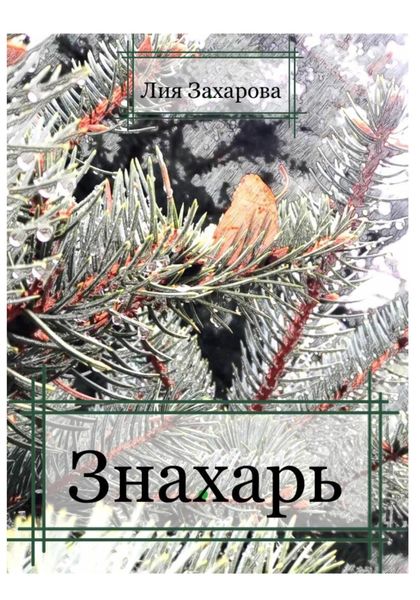Обложка книги  «Знахарь»
