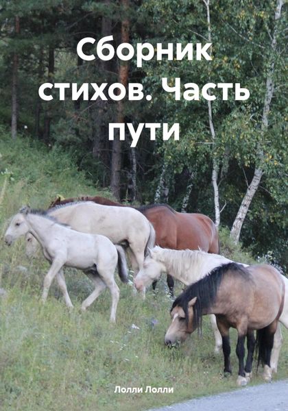 Обложка книги  «Сборник стихов. Часть пути»