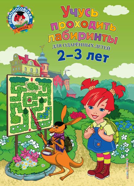 Обложка книги «Учусь проходить лабиринты»