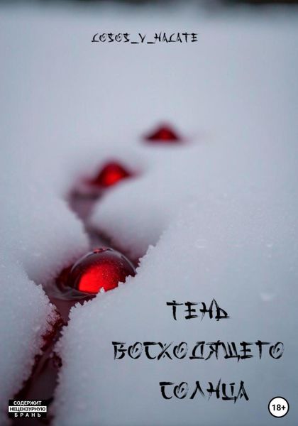 Обложка книги  «Тень восходящего солнца»
