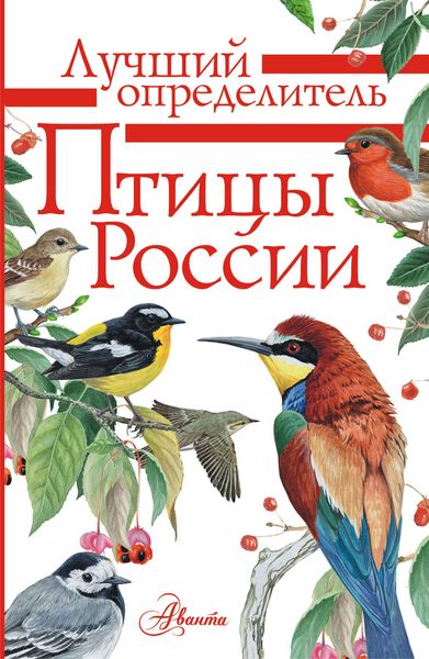 Обложка книги «Птицы России»