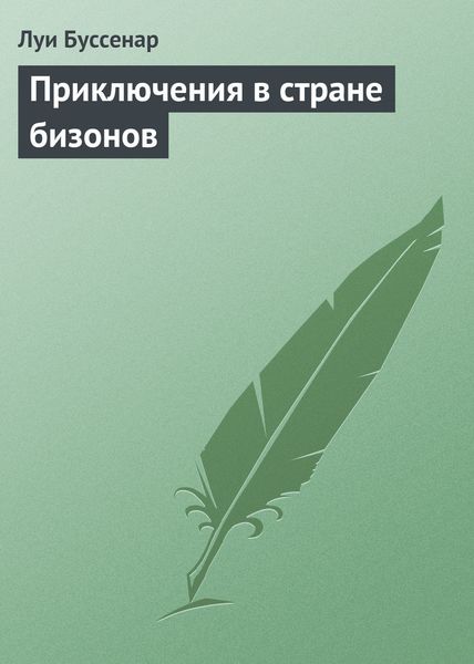 Обложка книги «Приключения в стране бизонов»