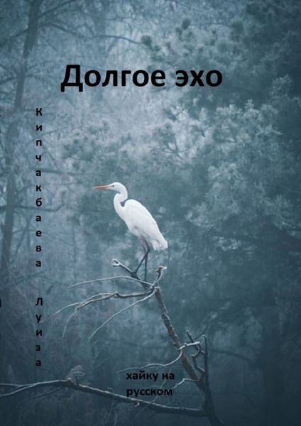 Обложка книги  «Долгое эхо»