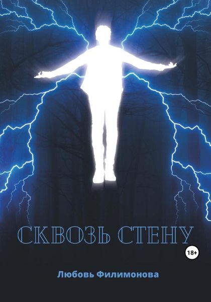 Обложка книги «Сквозь стену»
