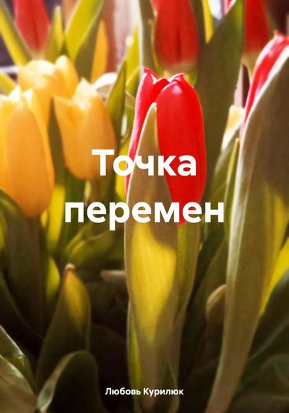 Обложка книги «Точка перемен»