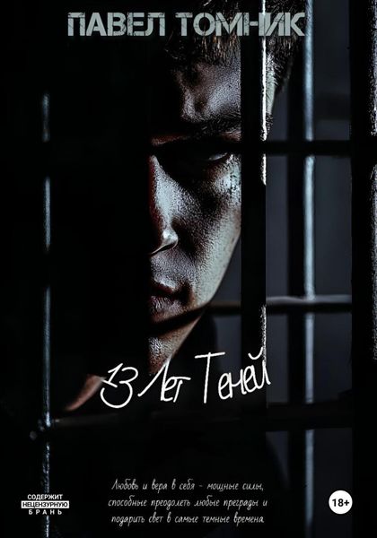 Обложка книги  «13 лет Теней»