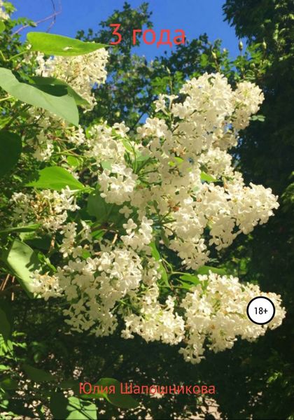 Обложка книги  «3 года»