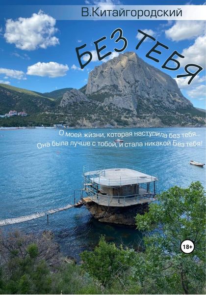Обложка книги  «Без тебя»