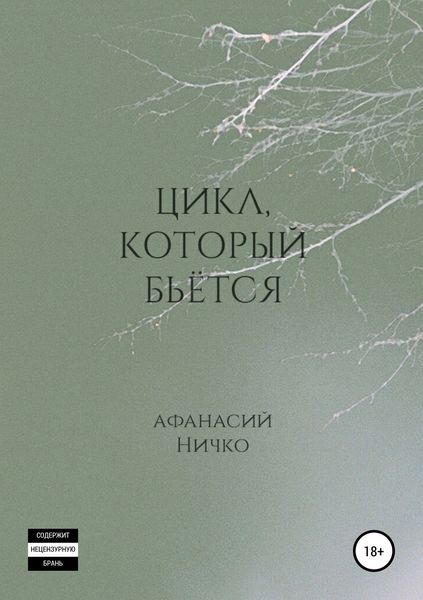 Обложка книги  «Цикл, который бьётся»