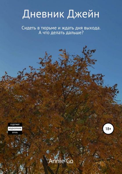 Обложка книги  «Дневник Джейн»