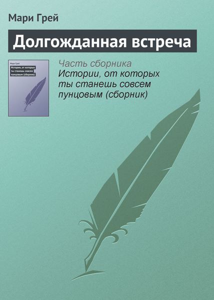 Обложка книги  «Долгожданная встреча»