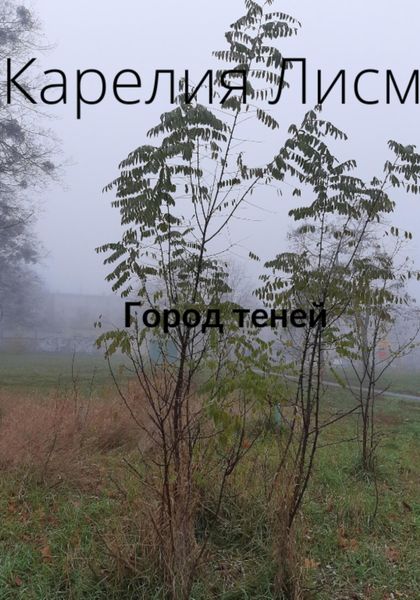 Обложка книги  «Город теней»